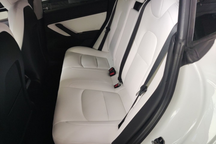 Tesla Model 3 2020 car image #17