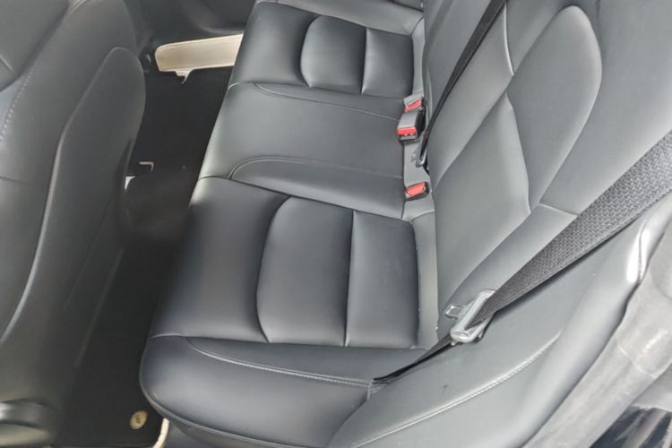 Tesla Model 3 2022 car image #17