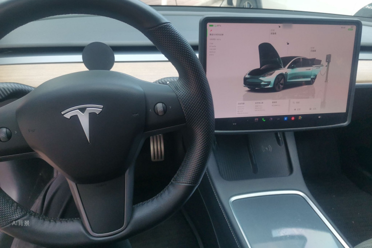 Tesla Model 3 2022 car image #11