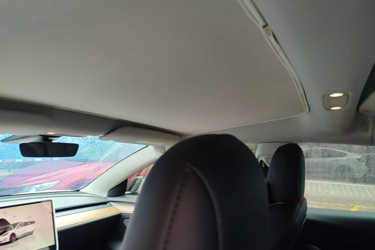 Tesla Model 3 2022 car image #18