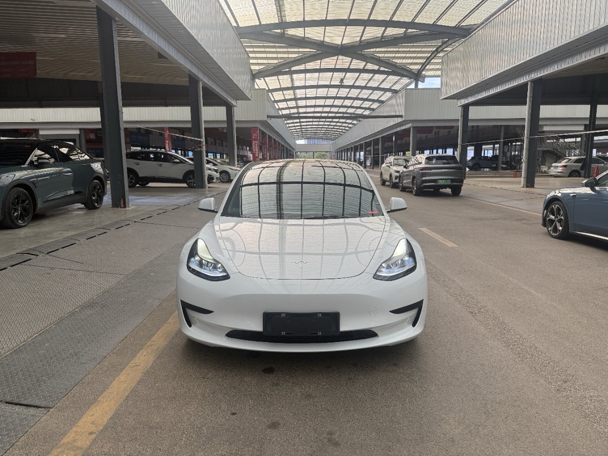 Tesla Model 3 2021 #2 Tesla Model 3 2021 car image #2