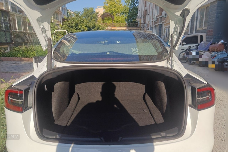 Tesla Model 3 2022 car image #21