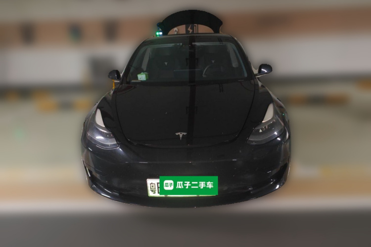 Tesla Model 3 2021 #3 Tesla Model 3 2021 car image #3