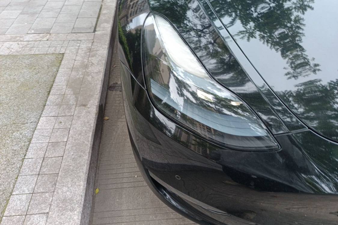 Tesla Model Y 2023 #7 Tesla Model Y 2023 car image #7