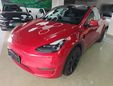 Tesla Model Y 2021 car image 