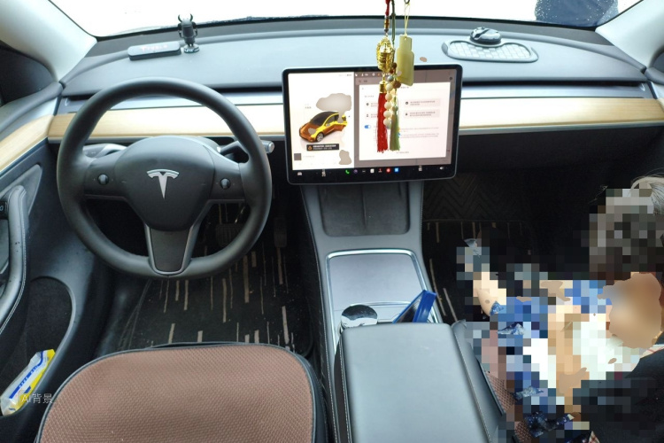 Tesla Model Y 2022 car image #11