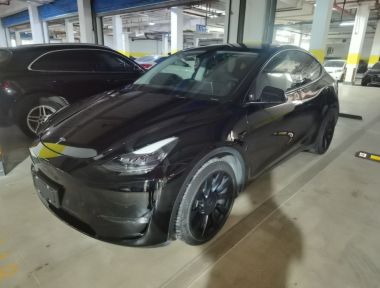 Tesla Model Y 2021 Tesla Model Y 2021 car image