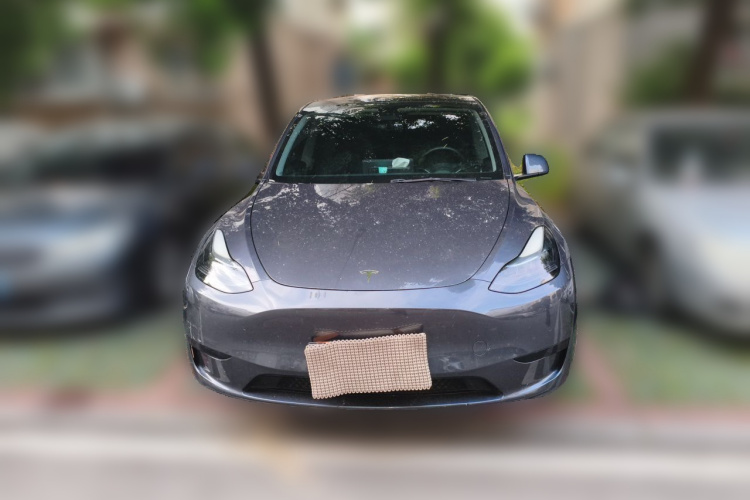 Tesla Model Y 2022 car image #3