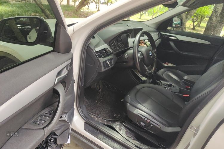 BMW X1 2017 car image #18