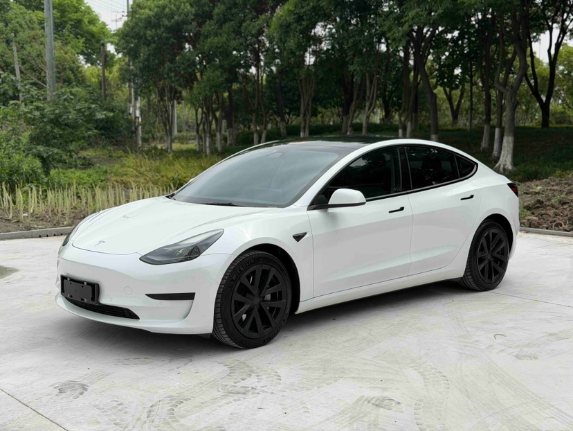 Tesla Model 3 2021 Tesla Model 3 2021 car image