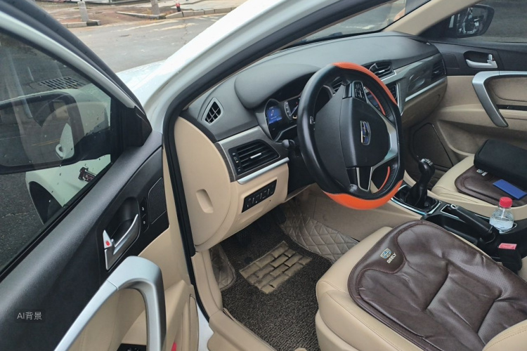 GEELY Emgrand 2017 immagine di auto #18