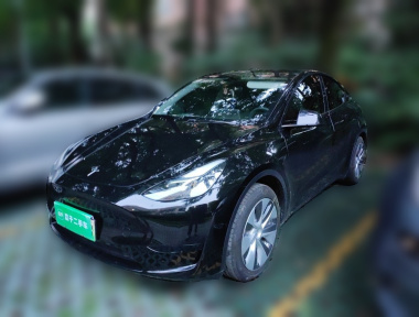 Tesla Model Y 2022 Tesla Model Y 2022 car image