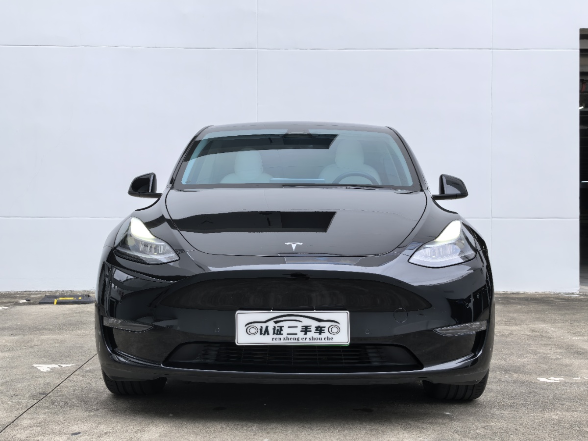 Tesla Model Y 2021 #2 Tesla Model Y 2021 car image #2