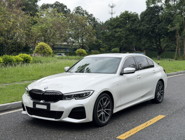 BMW 3 Series 2020 BMW 3 Series 2020 car image