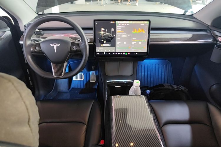 Tesla Model Y 2021 car image #10