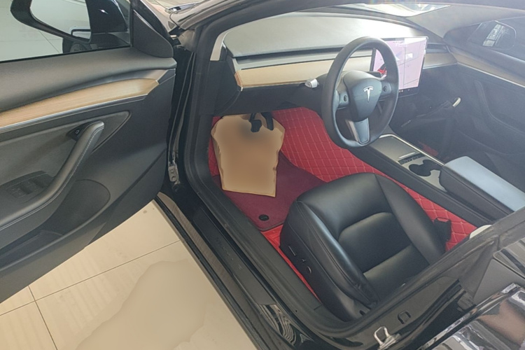 Tesla Model 3 2021 car image #16