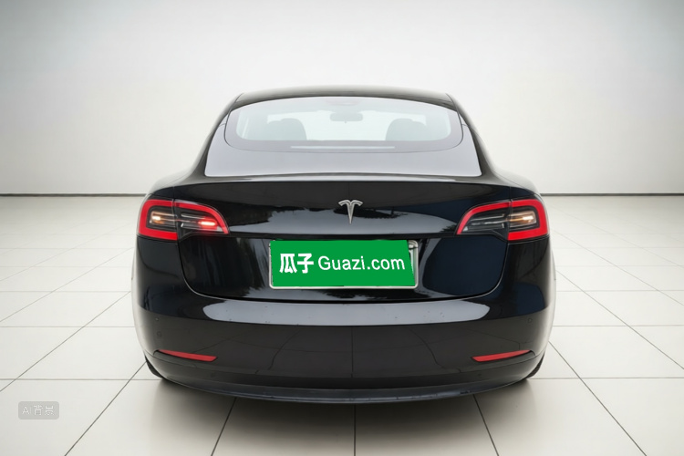 Tesla Model 3 2020 #6 Tesla Model 3 2020 car image #6