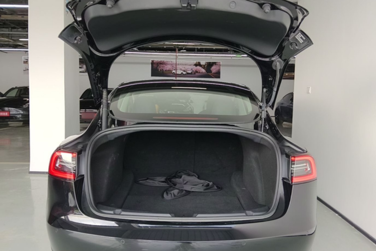 Tesla Model 3 2023 car image #19