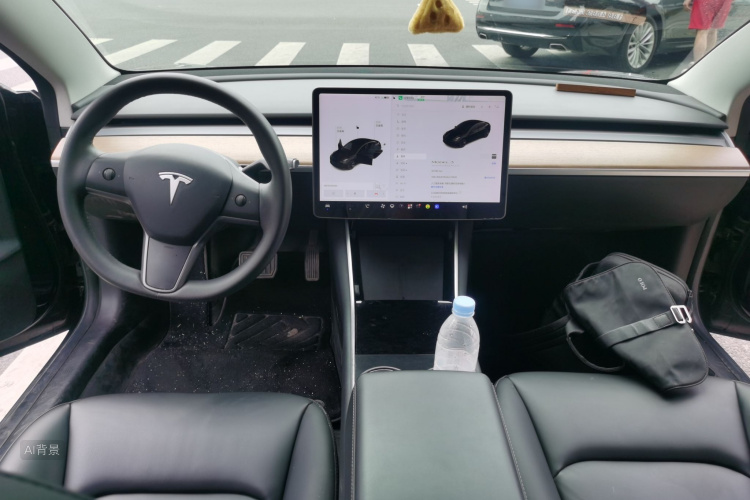 Tesla Model 3 2020 car image #11