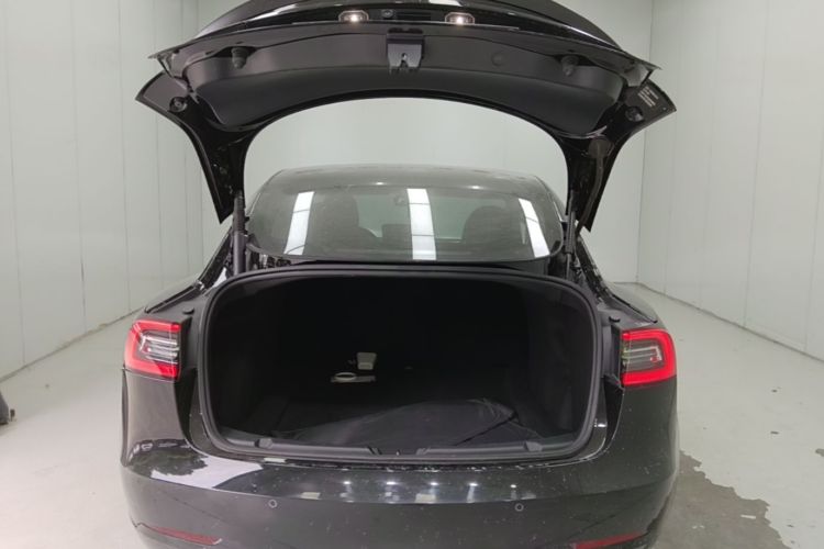 Tesla Model 3 2021 car image #21