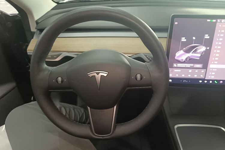 Tesla Model 3 2021 #11 Tesla Model 3 2021 car image #11