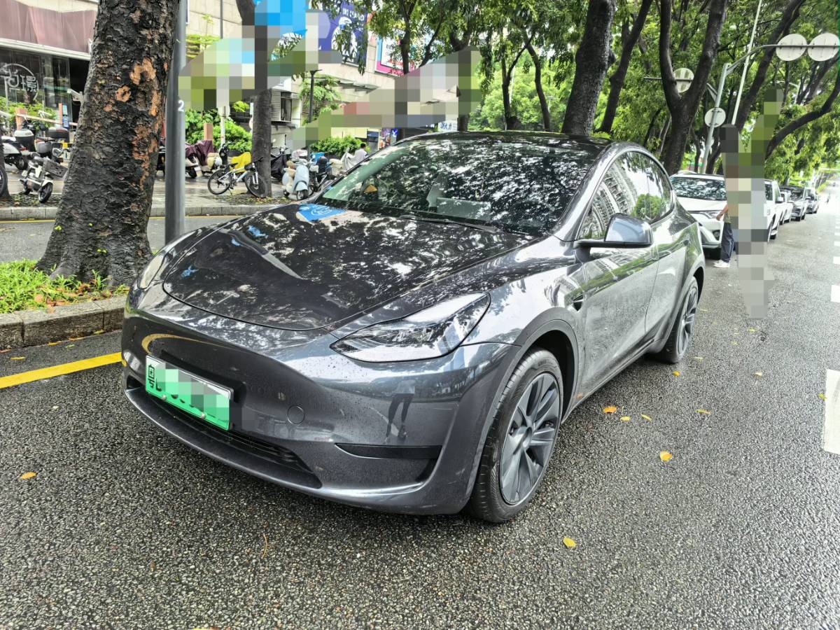 Tesla Model Y 2024 Tesla Model Y 2024 car image