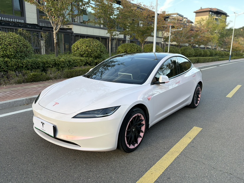 Tesla Model 3 2023 Tesla Model 3 2023 car image