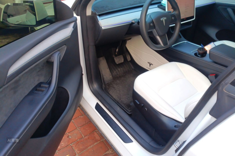 Tesla Model Y 2023 car image #18