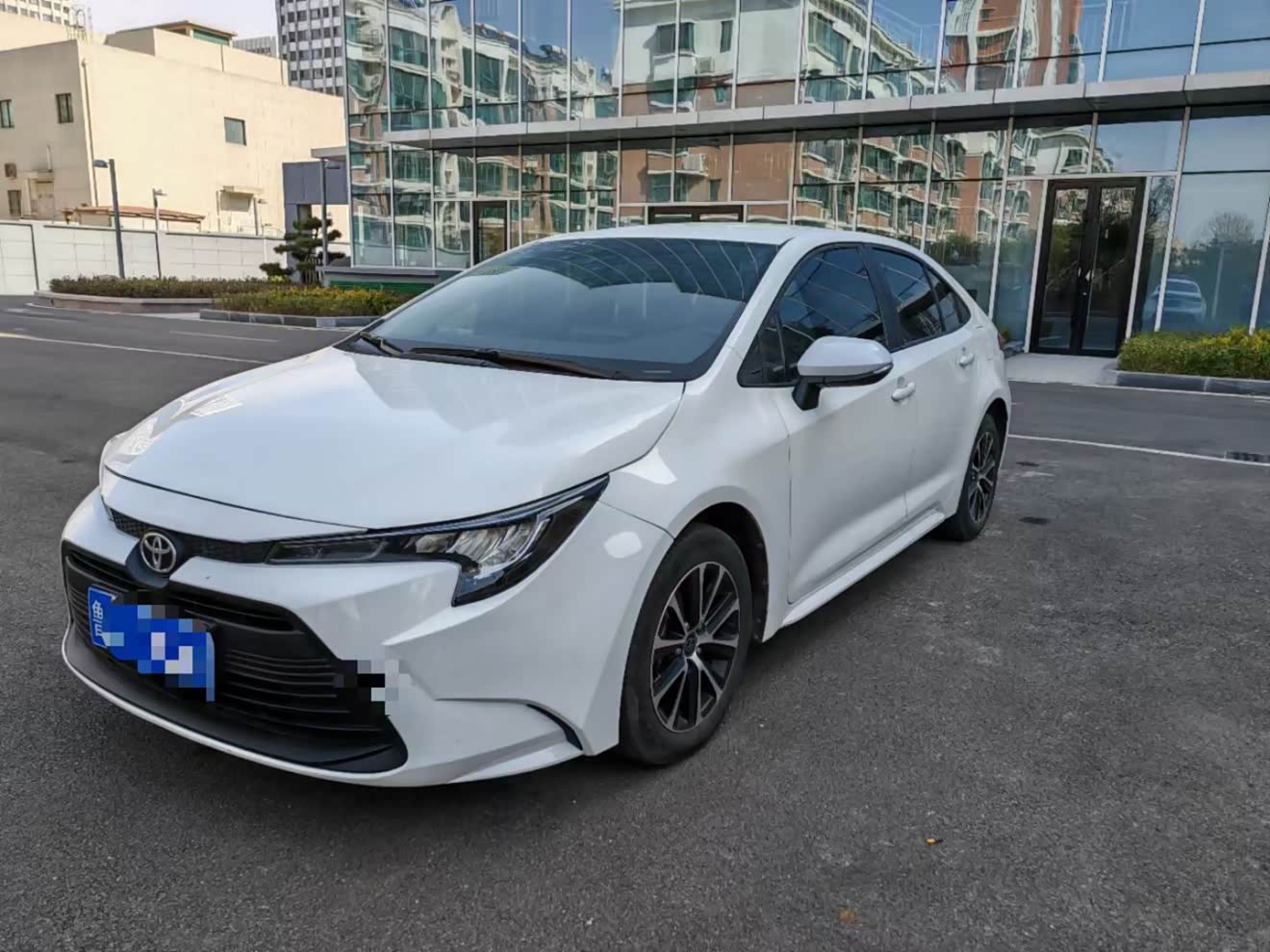 Toyota Levin 2024 汽车图片 