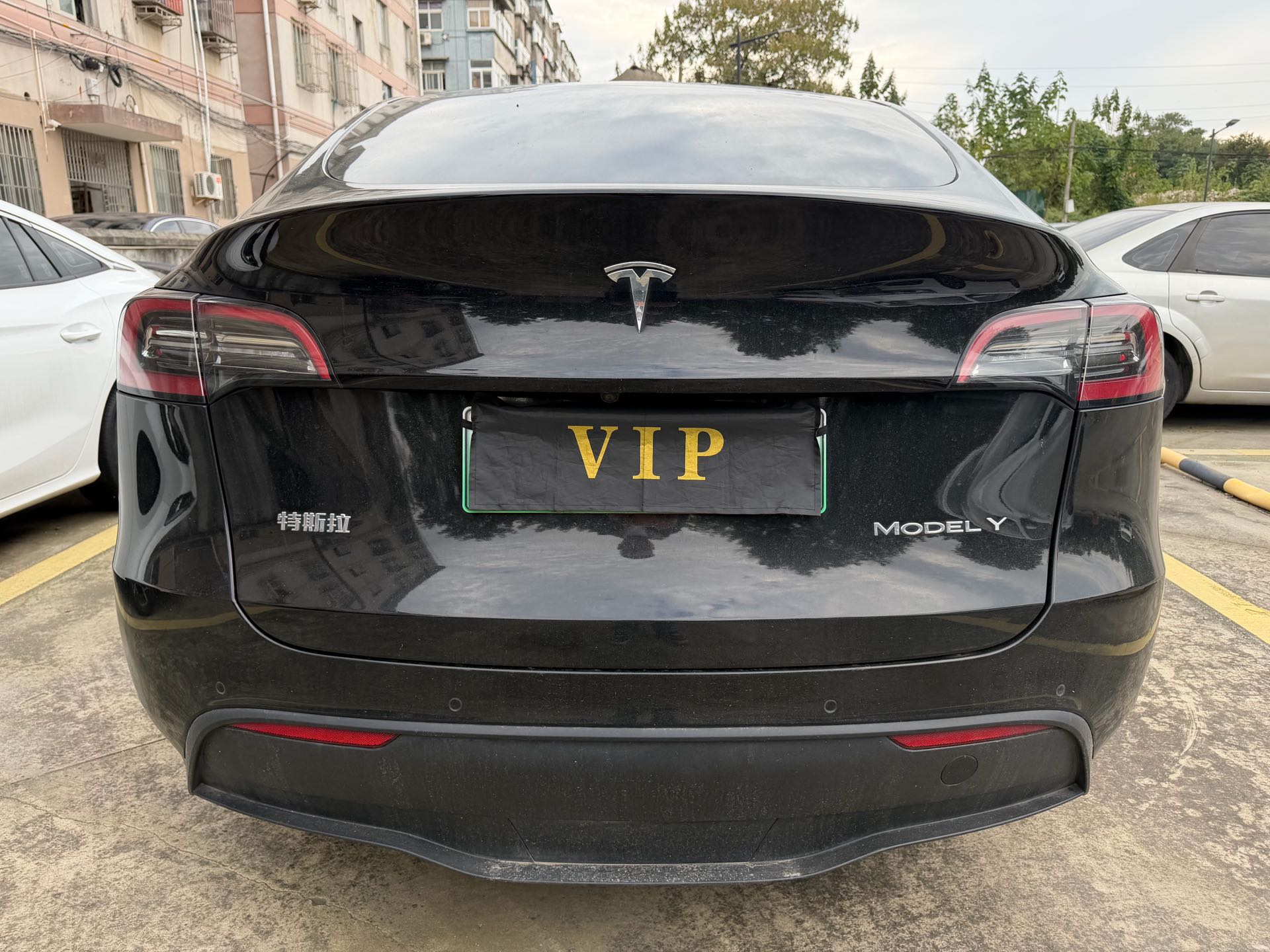 Tesla Model Y 2021 #4 Tesla Model Y 2021 car image #4