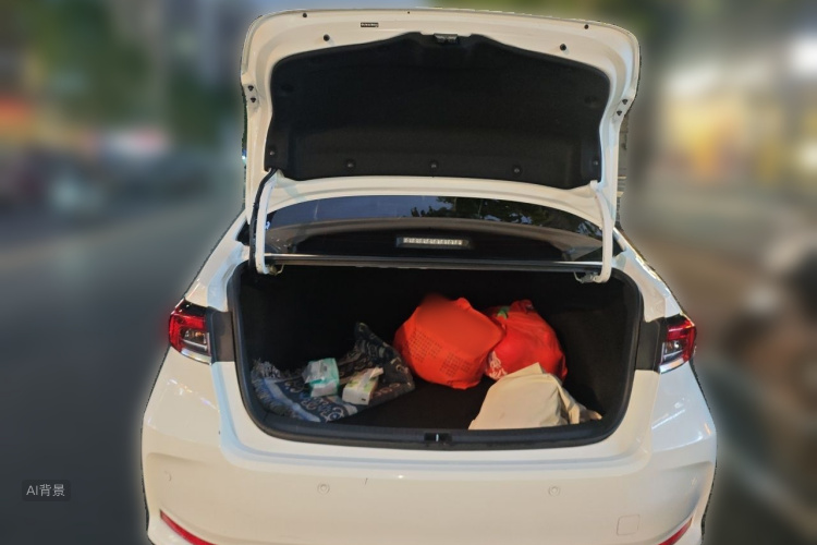 Toyota Corolla 2021 car image #21