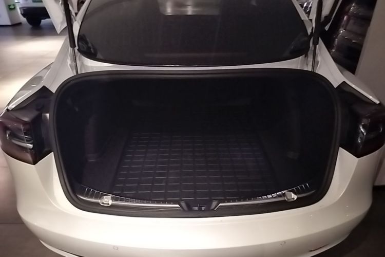 Tesla Model 3 2020 #19 Tesla Model 3 2020 car image #19
