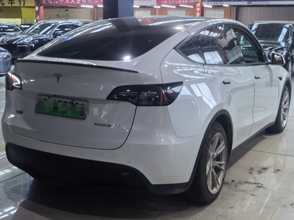 Tesla Model Y 2023 #7 Tesla Model Y 2023 car image #7
