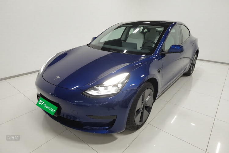 Tesla Model 3 2021 #2 Tesla Model 3 2021 car image #2