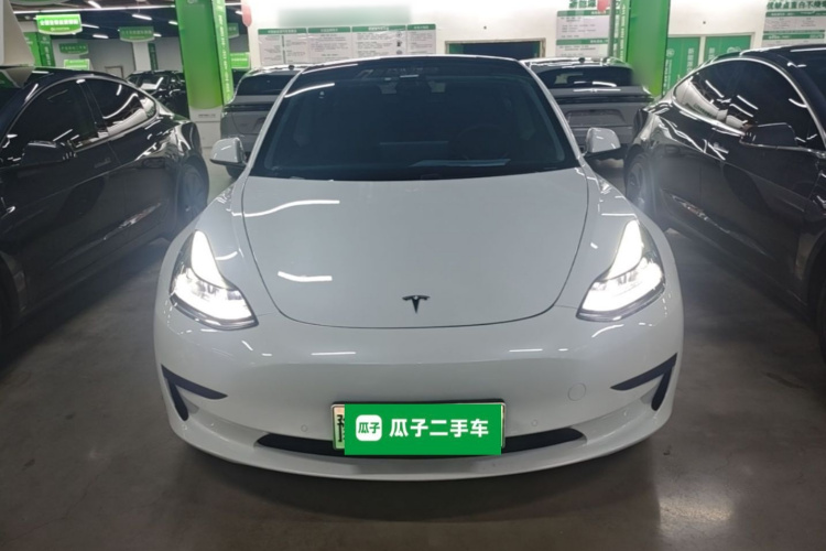 Tesla Model 3 2021 #3 Tesla Model 3 2021 car image #3