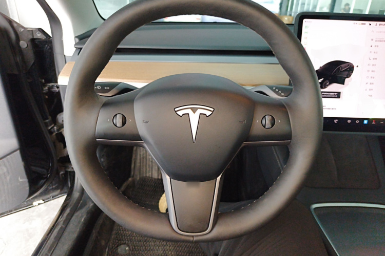 Tesla Model 3 2023 immagine di auto #15