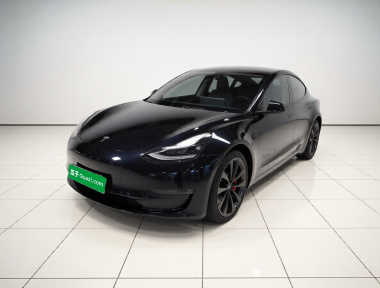 Tesla Model 3 2022 car image 
