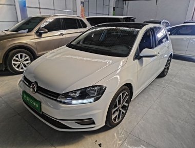 Volkswagen Golf 2020 car image 