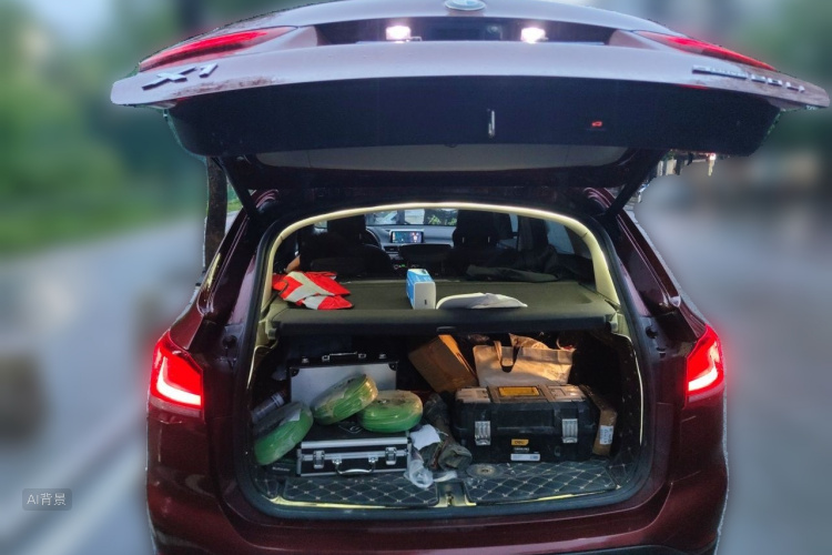 BMW X1 2020 car image #21