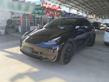 Tesla Model Y 2023 Tesla Model Y 2023 car image