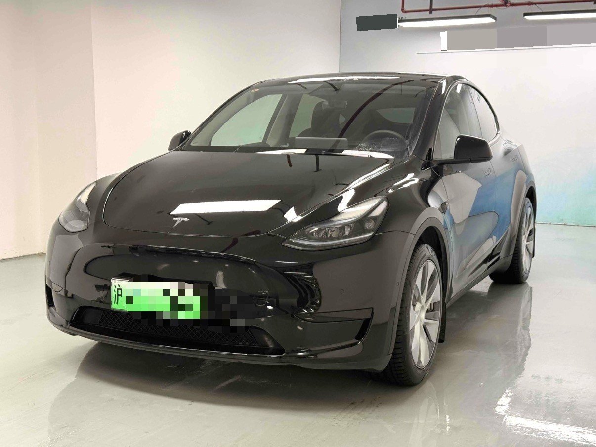 Tesla Model Y 2023 car image 