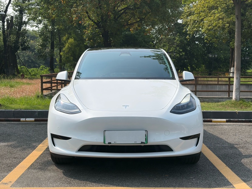 Tesla Model Y 2024 car image #2
