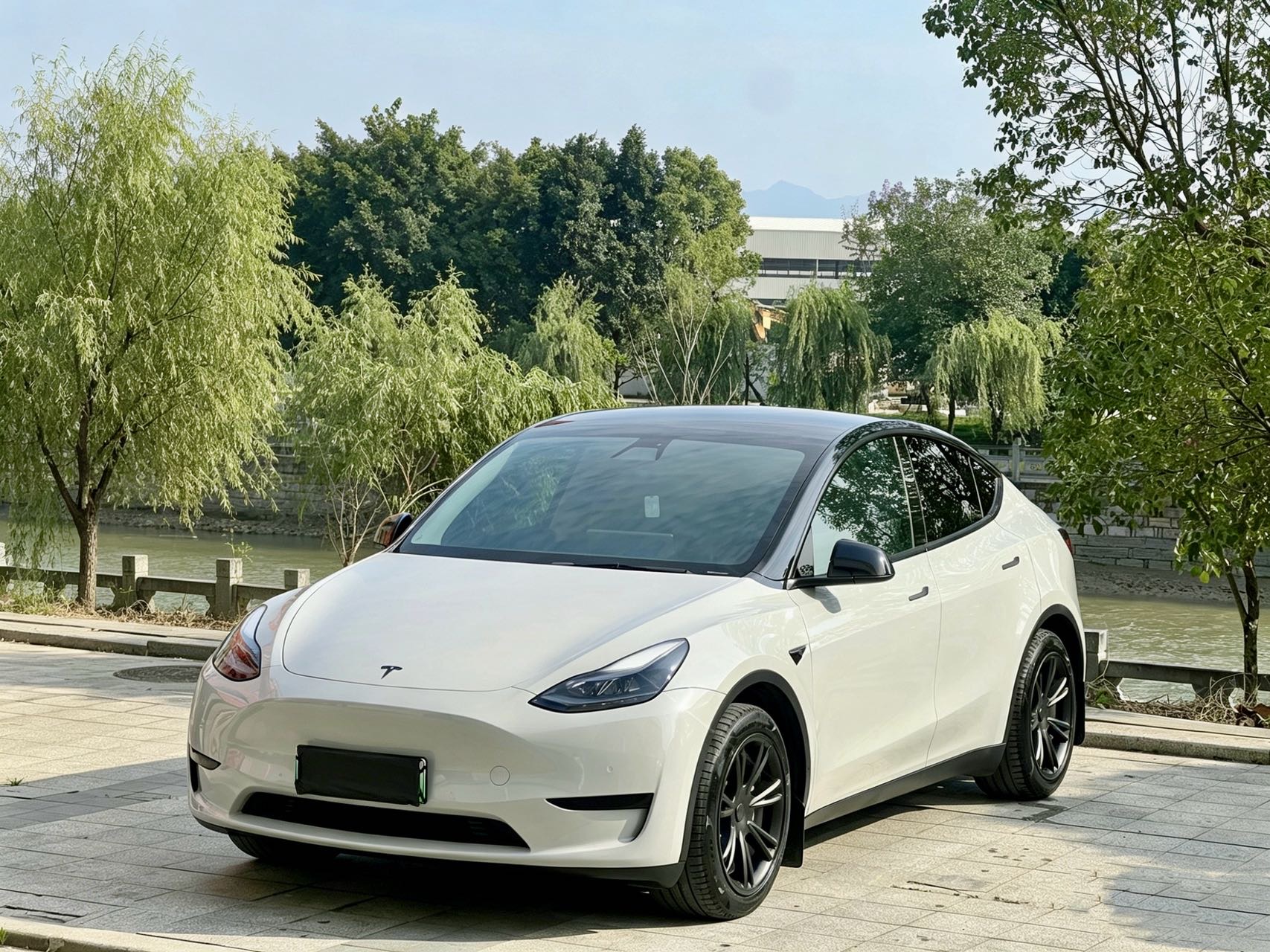 Tesla Model Y 2022 car image 