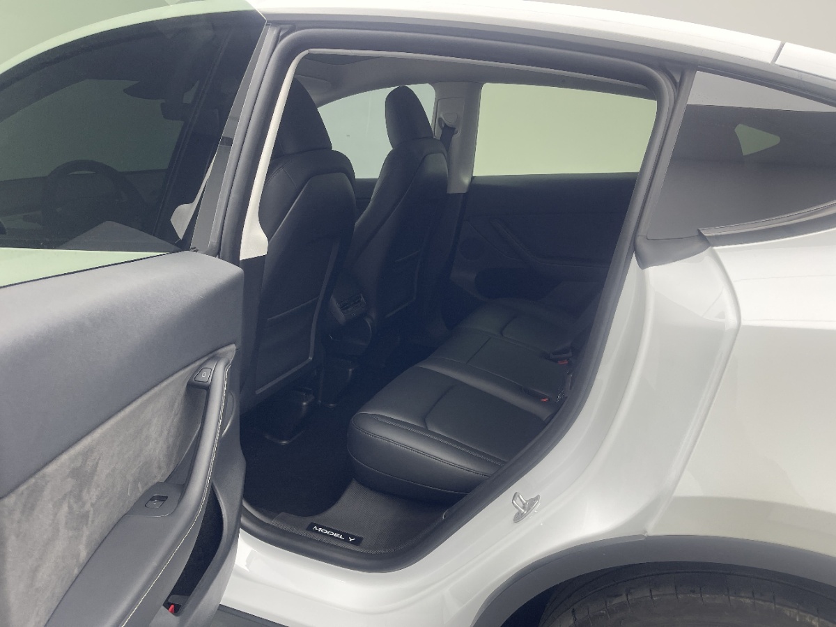 Tesla Model Y 2024 car image #6