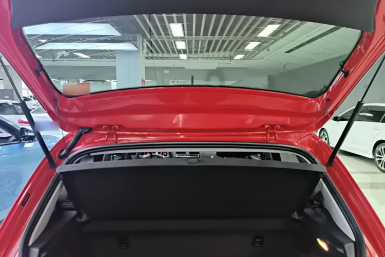 Volkswagen Polo 2016 car image #19