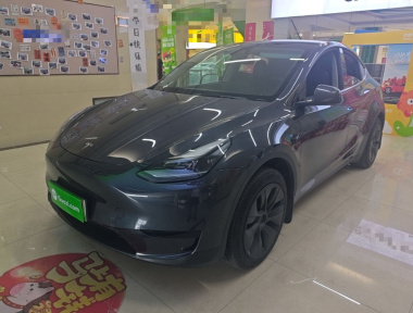 Tesla Model Y 2024 Tesla Model Y 2024 car image