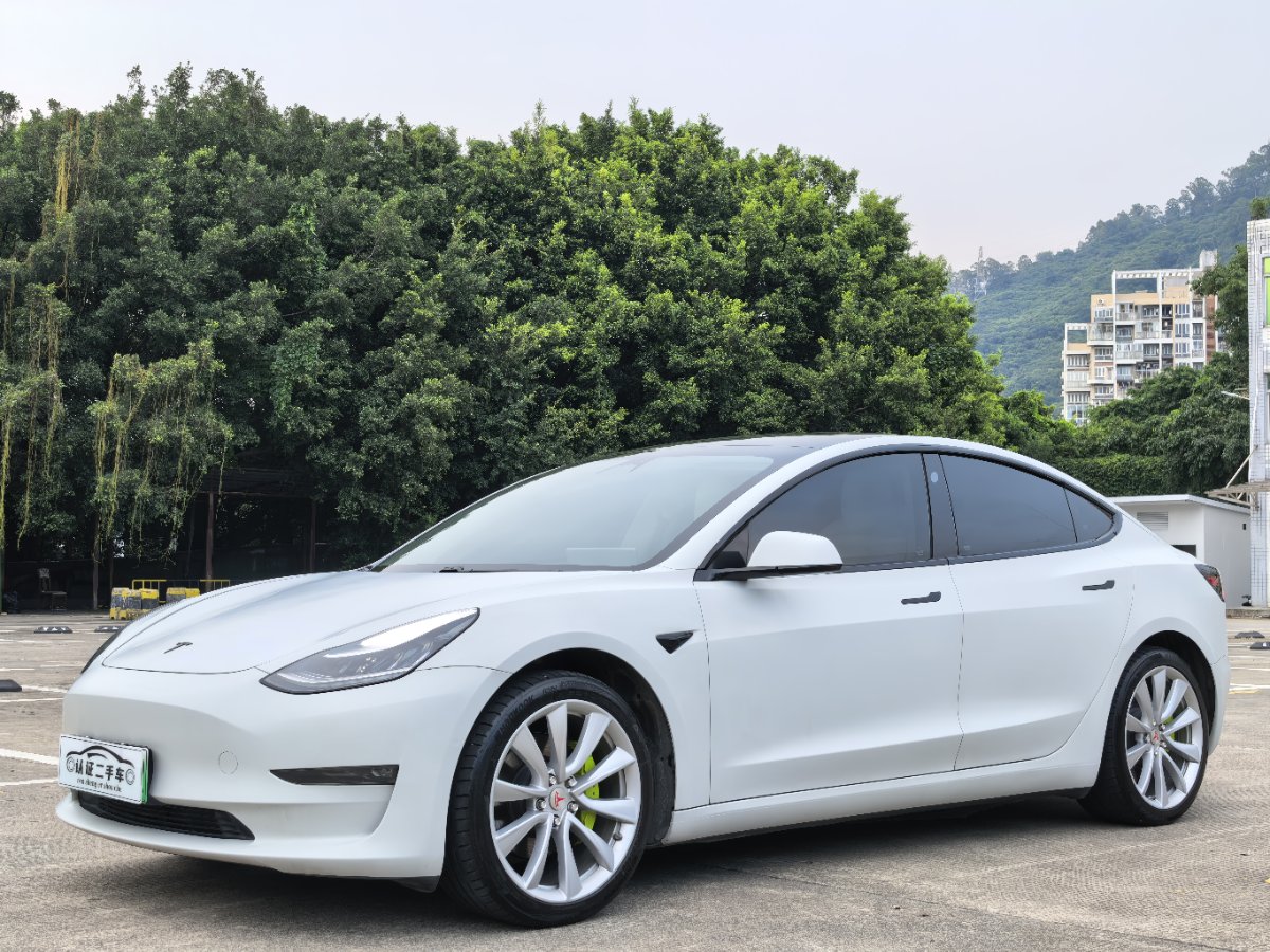 Tesla Model 3 2020 car image 