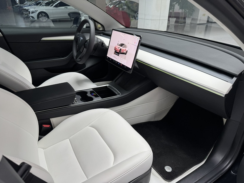 Tesla Model 3 2022 car image #22