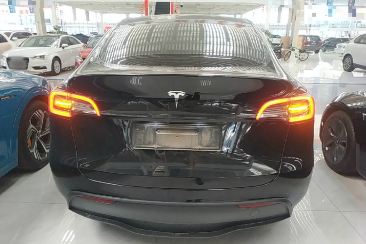 Tesla Model Y 2023 #6 Tesla Model Y 2023 car image #6