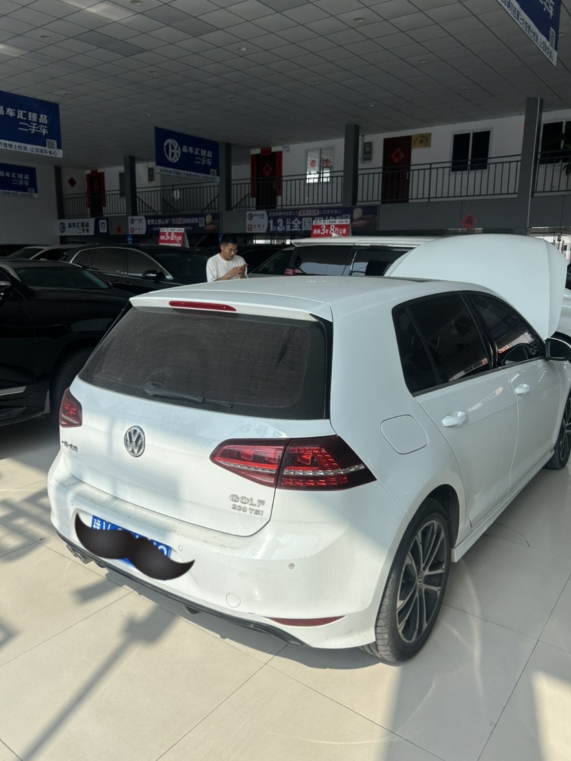 Volkswagen Golf 2017 #8 Volkswagen Golf 2017 car image #8